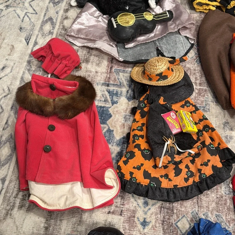 Porch Goose Outfit Lot 20+ With Accessories Holiday Summer Elvis Halloween